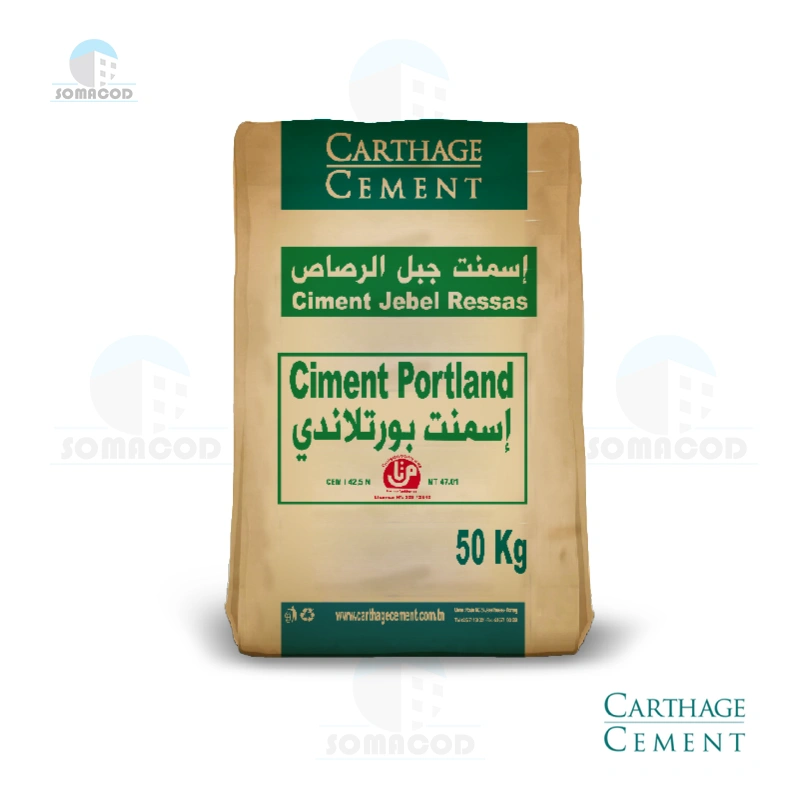 Ciment Portland 42.5 CPA Carthage Cement en Tunisie | Somacod