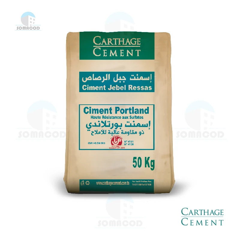 Ciment Portland 42.5 HRS Carthage Cement en Tunisie | Somacod